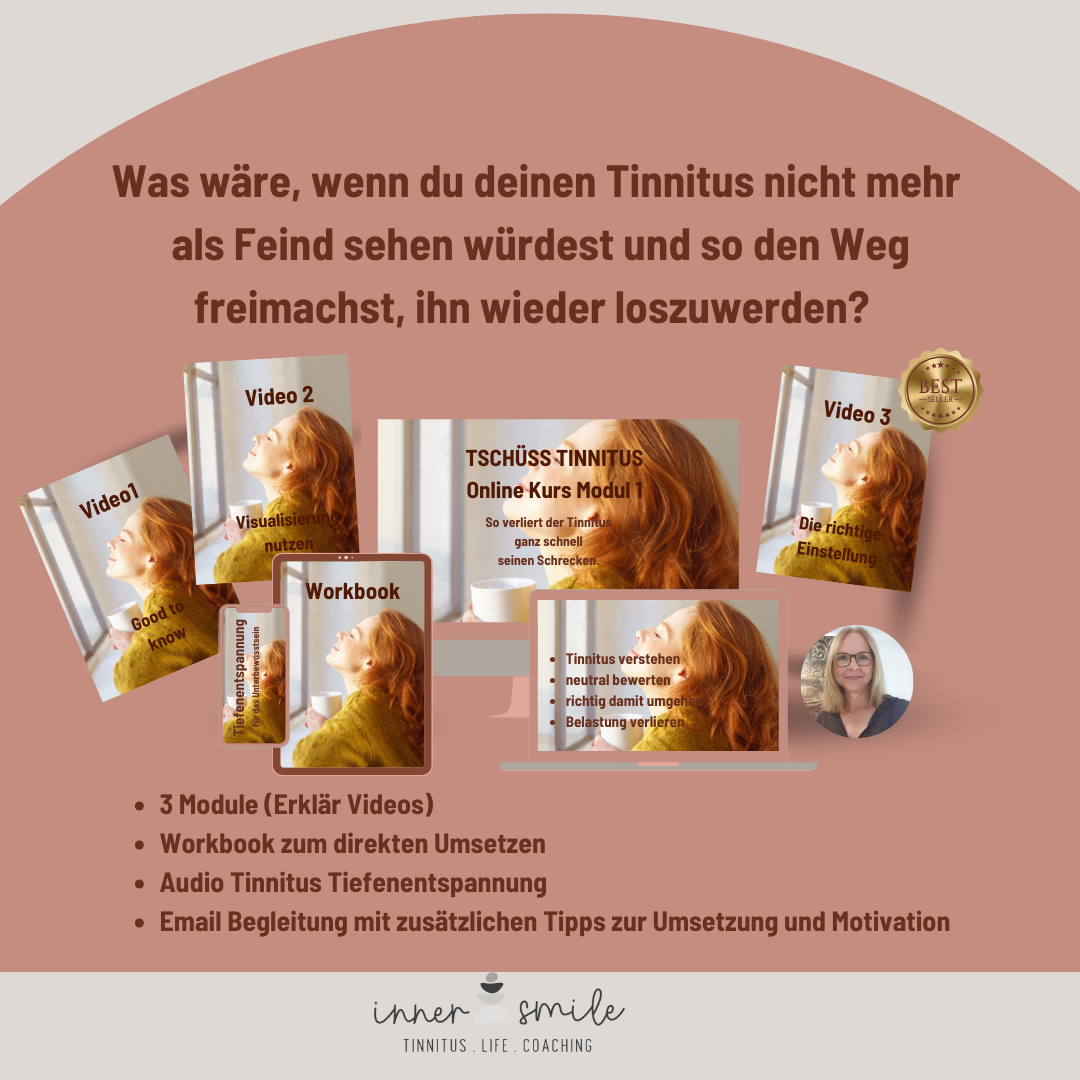 Bild mit den Kursmodulen